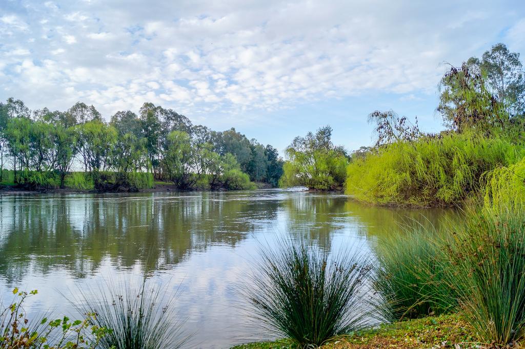 Ashmont NSW Dalby Accommodation