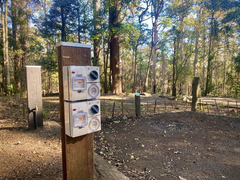Binna Burra Rainforest Campsite - Dalby Accommodation 1