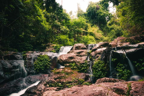 Binna Burra Rainforest Campsite - Dalby Accommodation 3
