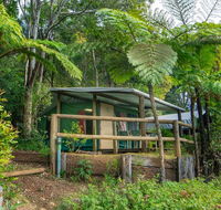 Binna Burra Rainforest Campsite - Dalby Accommodation