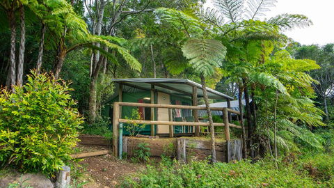 Binna Burra Rainforest Campsite - Dalby Accommodation 0