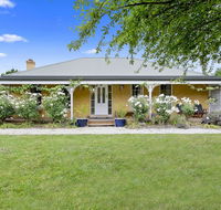 Blue Wren - Dalby Accommodation