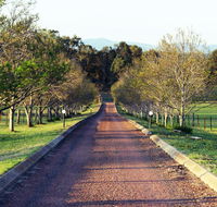 Blueberry Hill Vineyard Villa - Dalby Accommodation