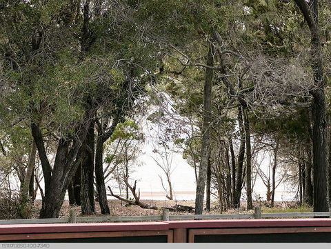 Boat Harbour Studio Apartments And Villas - Dalby Accommodation 2