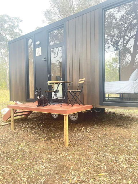 Whispering Wallaby By Tiny Away - Dalby Accommodation 1