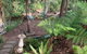 Williams River Retreat - thumb 2