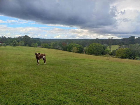 Maison De Lavande Farmstay - Dalby Accommodation 1