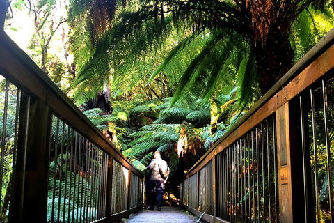 Small-Group Great Ocean Road And Twelve Apostles Full-Day Tour - Dalby Accommodation 1