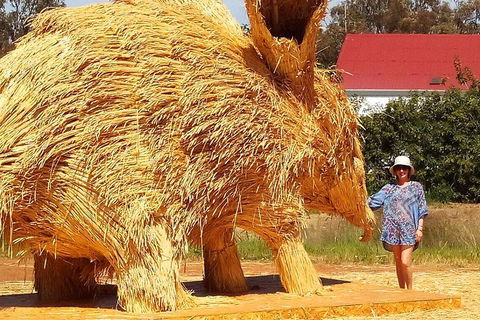 The Big Wave Rock (Private) Day Tour - Dalby Accommodation 5