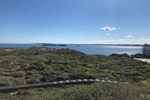 Penguin Island And Fremantle - Canoe, Chocolate & Coffee - Dalby Accommodation 0