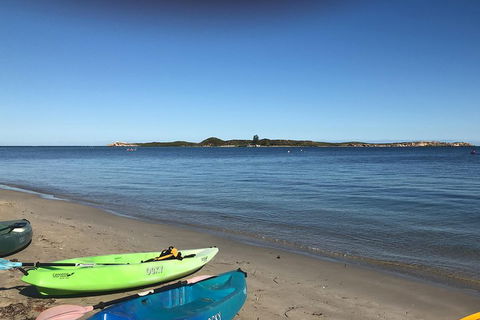 Penguin Island And Fremantle - Canoe, Chocolate & Coffee - Dalby Accommodation 2