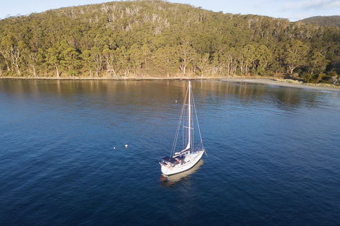 Twilight Sail Bruny Island - Dalby Accommodation 3