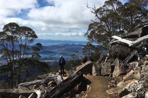 Kunanyi / Mt Wellington Explorer Bus - 2 Hour Return Tour - Dalby Accommodation 0