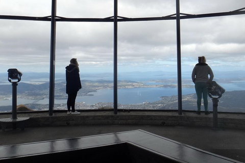 Kunanyi / Mt Wellington Explorer Bus - 2 Hour Return Tour - Dalby Accommodation 1