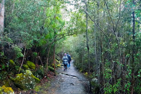 Kunanyi / Mt Wellington Explorer Bus - 2 Hour Return Tour - Dalby Accommodation 2
