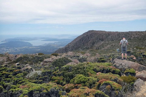 Kunanyi / Mt Wellington Explorer Bus - 2 Hour Return Tour - Dalby Accommodation 3