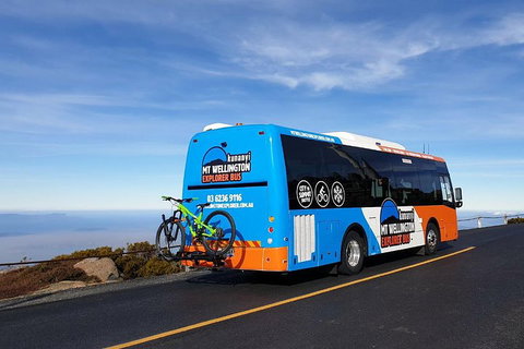 Kunanyi / Mt Wellington Explorer Bus - 2 Hour Return Tour - Dalby Accommodation 4
