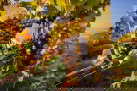 Book Viator Accommodation Vacations Dalby Accommodation Dalby Accommodation