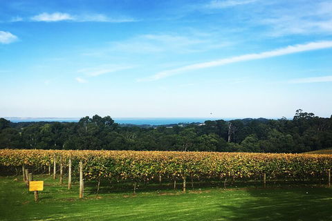 Mornington Peninsula Tour Inc Chairlift,beach Boxes,lunch,choc Tasting And More - Dalby Accommodation 2