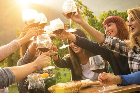 Mornington Peninsula Tour Inc Chairlift,beach Boxes,lunch,choc Tasting And More - Dalby Accommodation 3