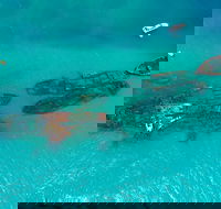 Private Tangalooma Wrecks Tour - Dalby Accommodation