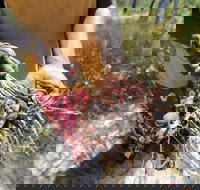 Gay-Wu Woman's 5 Day Yolngu Homeland Tour - Dalby Accommodation