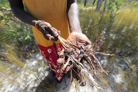 Gay-Wu Woman's 5 Day Yolngu Homeland Tour - Dalby Accommodation 0