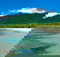 8-Day Cairns Tour Great Barrier Reef Kuranda Daintree Rainforest - Dalby Accommodation