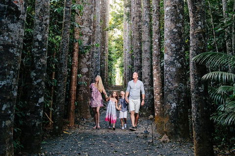 Paronella Park And Millaa Millaa Falls Full-day Tour From Cairns - Dalby Accommodation 5
