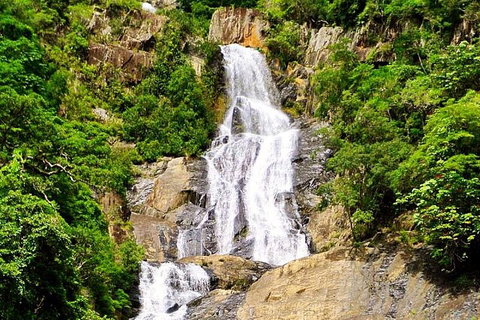 Barron Gorge And Kuranda National Park Half Day Rainforest And Waterfall 4WD Tour From Cairns - Dalby Accommodation 1