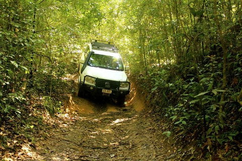 Barron Gorge And Kuranda National Park Half Day Rainforest And Waterfall 4WD Tour From Cairns - Dalby Accommodation 2