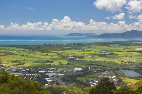 Barron Gorge And Kuranda National Park Half Day Rainforest And Waterfall 4WD Tour From Cairns - Dalby Accommodation 3