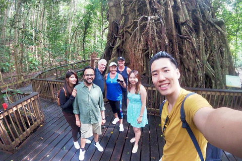 Barron Gorge And Kuranda National Park Half Day Rainforest And Waterfall 4WD Tour From Cairns - Dalby Accommodation 5