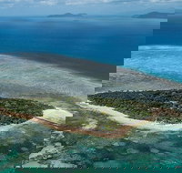 4-Day Cairns with Great Barrier Reef and Daintree Rainforest - Dalby Accommodation