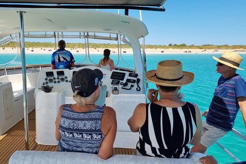 Snubfin Dolphin Eco Cruise From Broome - Dalby Accommodation 5