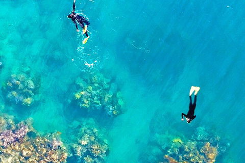 Fly & Cruise - Seaplane Package - Dalby Accommodation 1