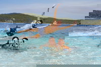 Book Viator Accommodation Vacations Dalby Accommodation Dalby Accommodation