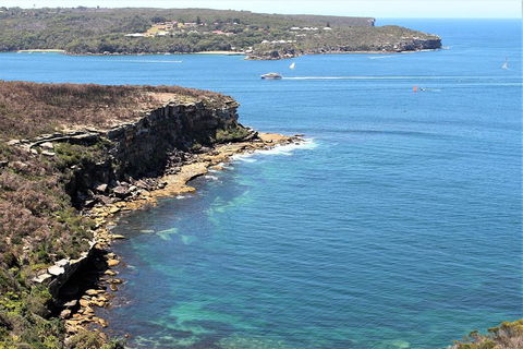 Half Day Manly Beach And More - Dalby Accommodation 0