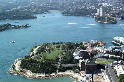 Half Day Manly Beach And More - Dalby Accommodation 1