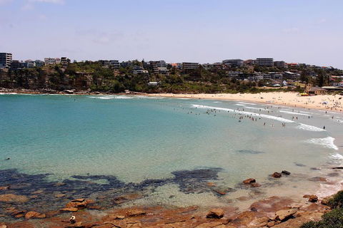 Half Day Manly Beach And More - Dalby Accommodation 2