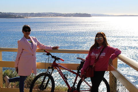 Half Day Manly Beach And More - Dalby Accommodation 4