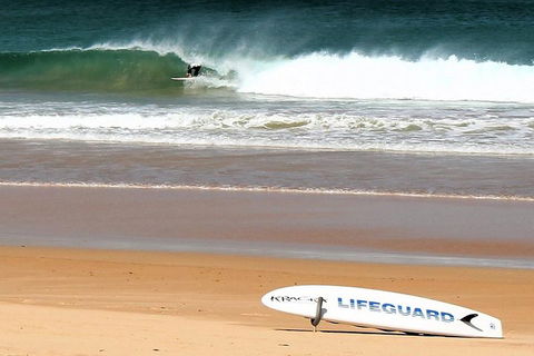 Half Day Manly Beach And More - Dalby Accommodation 5