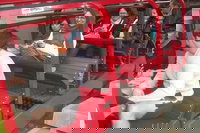 Full-Day Private Blue Mountains Tour with River Cruise, Sydney