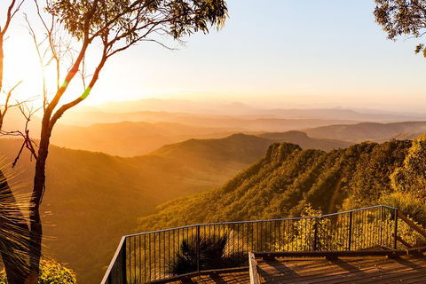 O'Reilly's & Lamington National Park Incl. Alpaca Farm + Vineyard - Dalby Accommodation 0