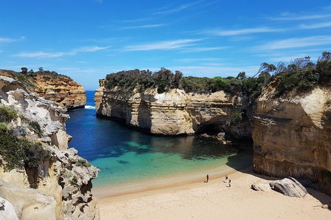 Great Ocean Road Adventure - Private Tour - Reverse - Dalby Accommodation 0