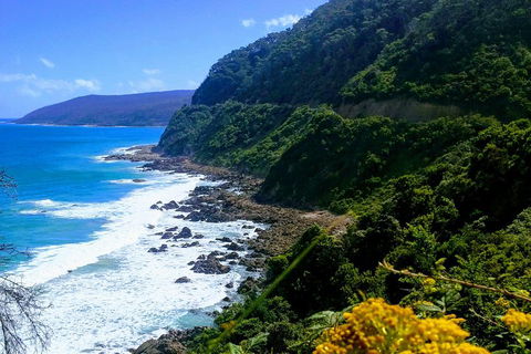 Great Ocean Road Adventure - Private Tour - Reverse - Dalby Accommodation 3