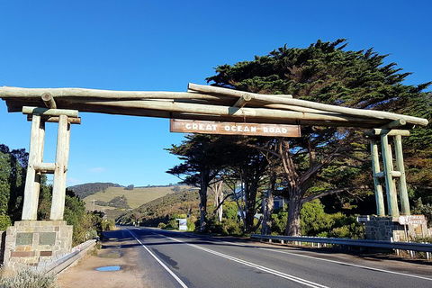 Great Ocean Road Adventure - Private Tour - Reverse - Dalby Accommodation 5