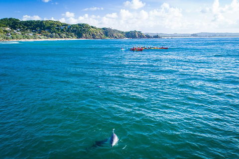 The Byron Bay Sea Kayak Tour - Dalby Accommodation 2