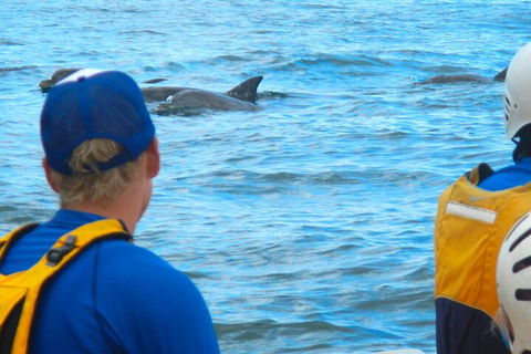 The Byron Bay Sea Kayak Tour - Dalby Accommodation 4