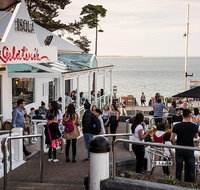 Phillip Island and French Island Wildlife Expedition - Dalby Accommodation